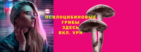 спайс Новодвинск