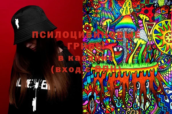 спайс Новодвинск