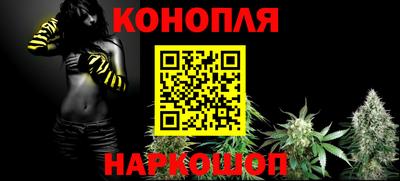 шишки Апшеронск