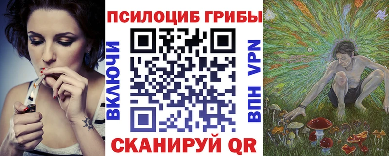 Галлюциногенные грибы Psilocybine cubensis  Большой Камень 