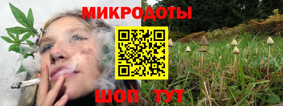 Галлюциногенные грибы ЛСД Большой Камень
