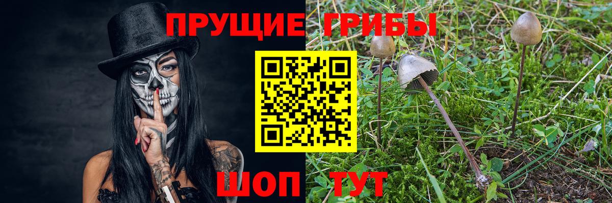 Галлюциногенные грибы Magic Shrooms  Большой Камень 