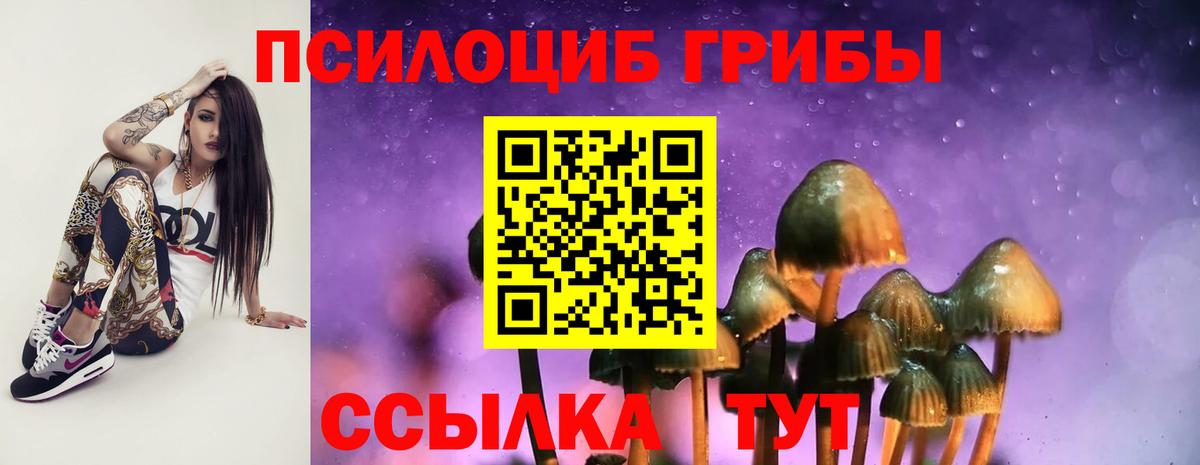 сколько стоит  Псилоцибиновые грибы Magic Shrooms  Вход с VPN  Большой Камень 